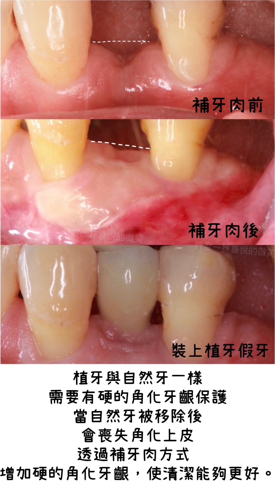 S__116449300