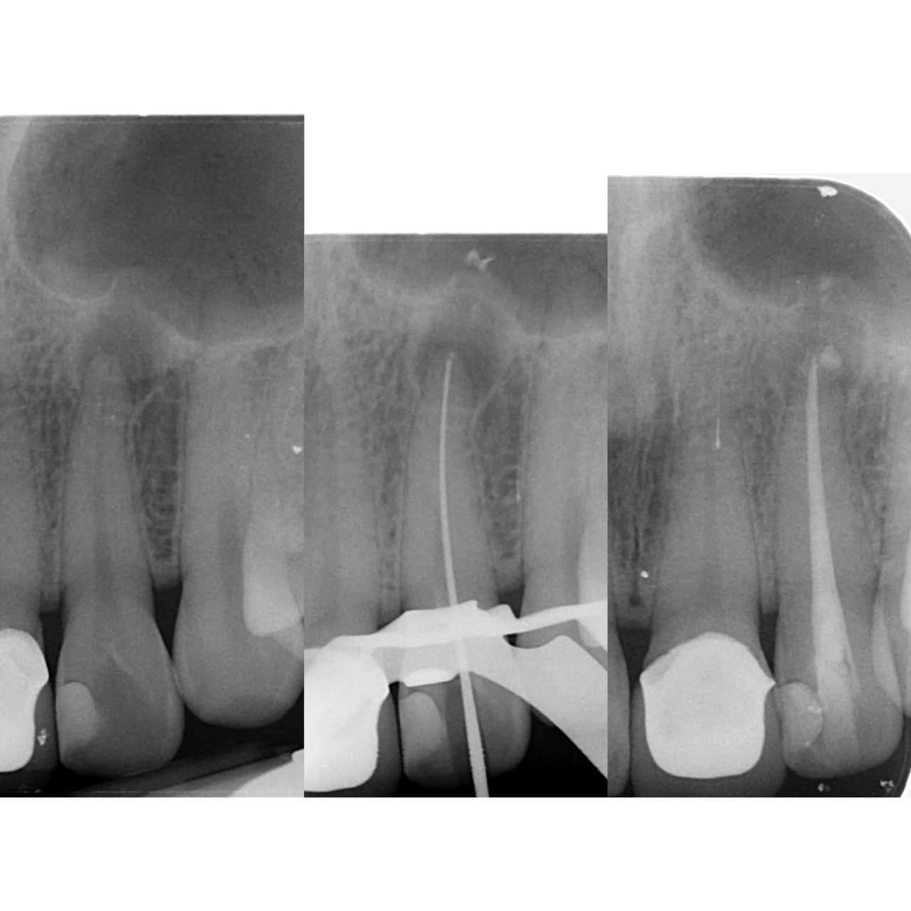 S__124969009