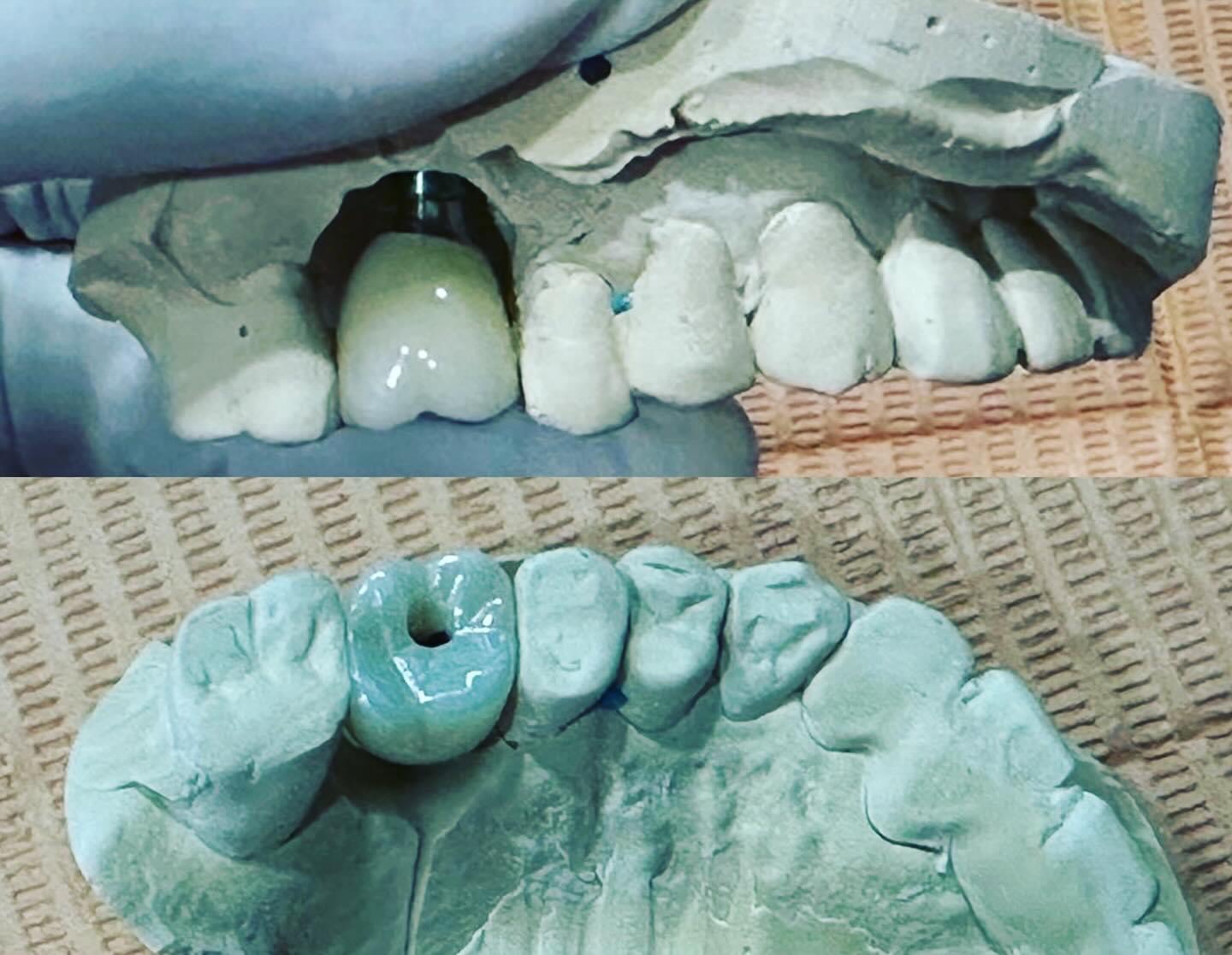 S__126582855