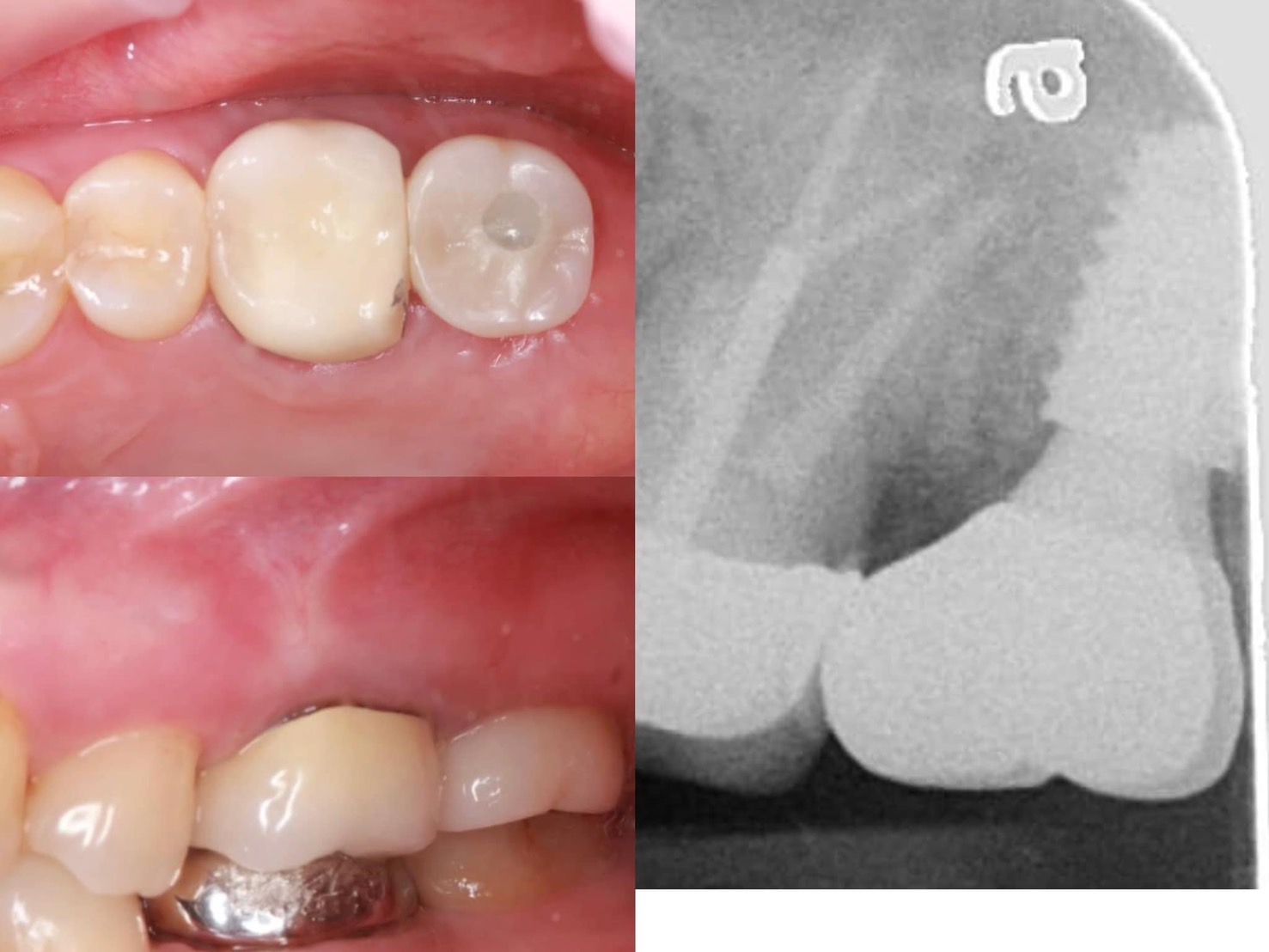 S__131637297