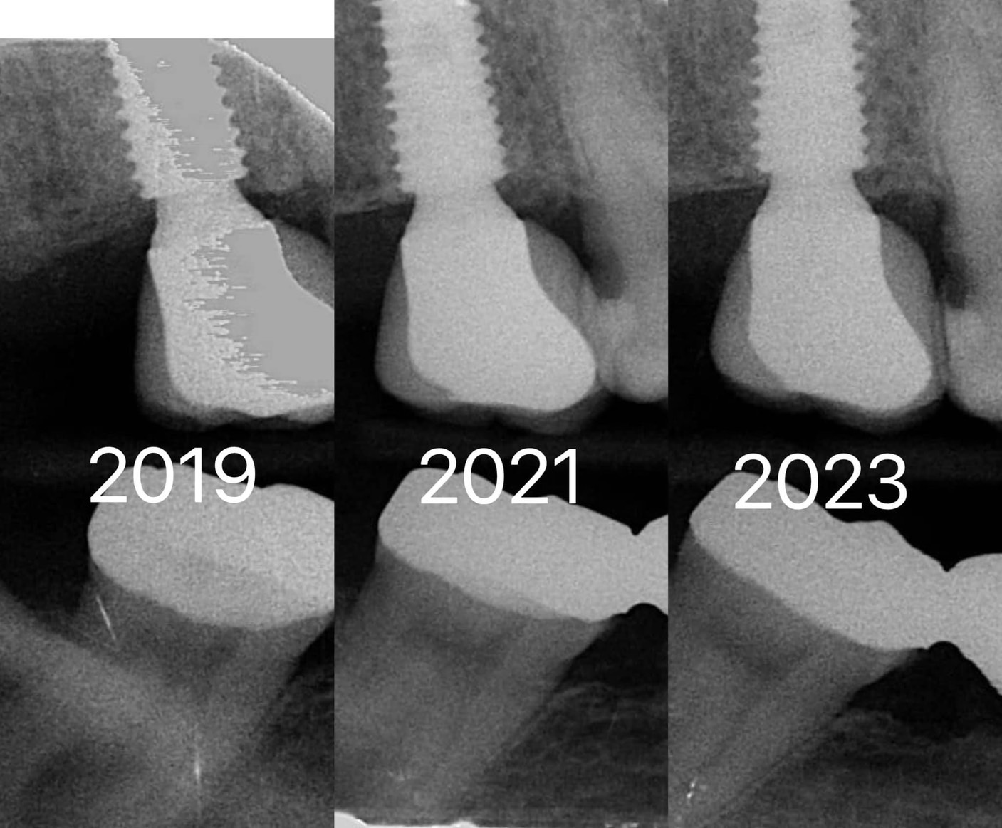 S__131637300