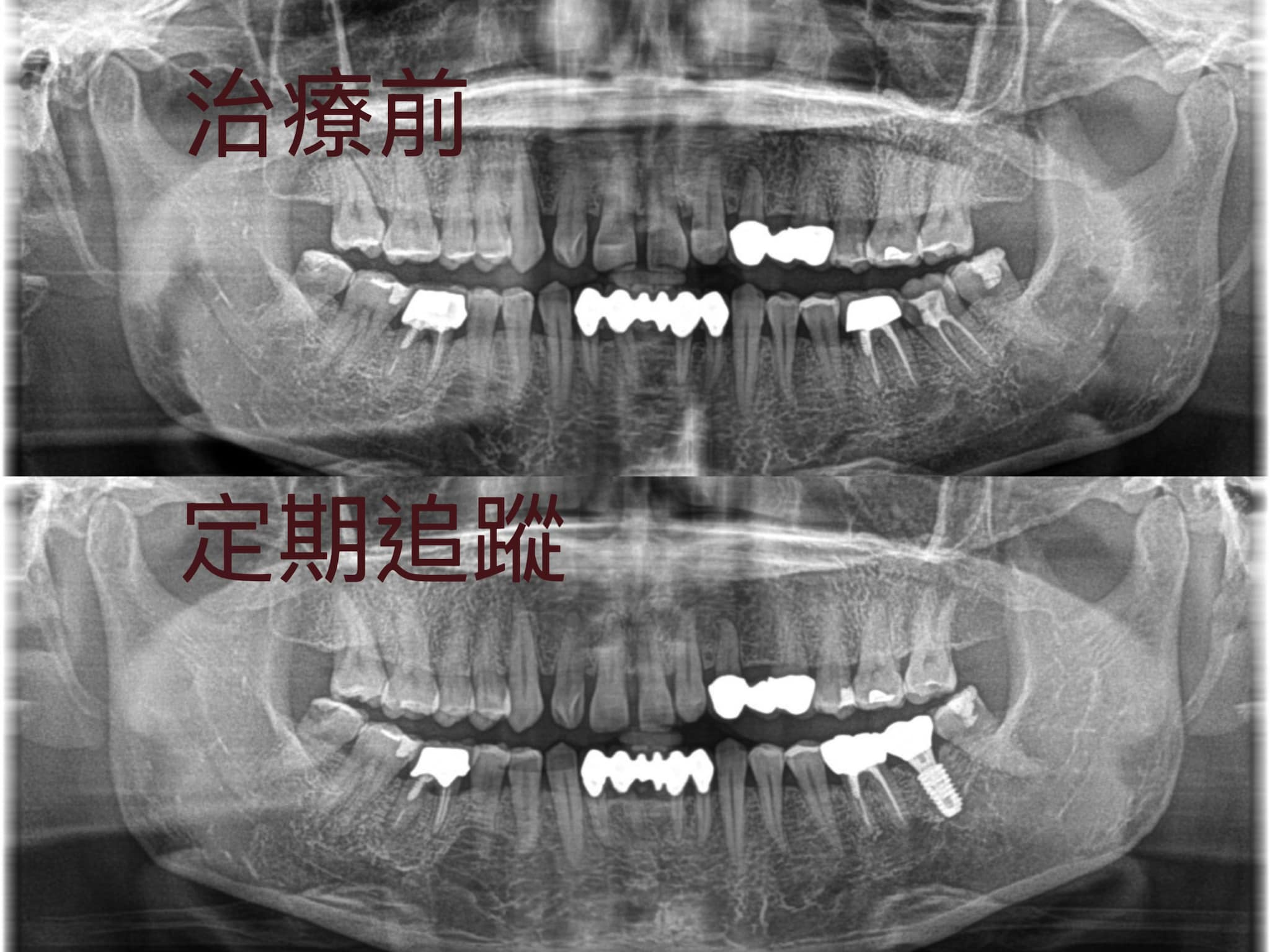 S__20635665